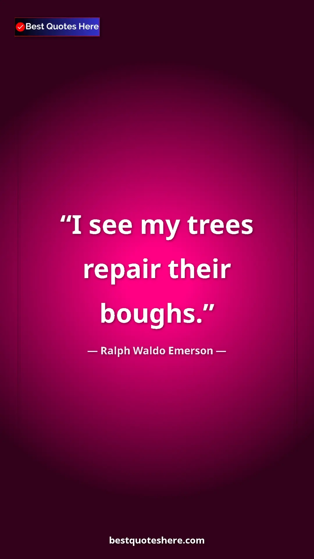 Ralph Waldo Emerson Quote Card: "I see my trees repair their boughs." Pinterest quote poster by Ralph Waldo Emerson: "I see my trees repair their boughs."