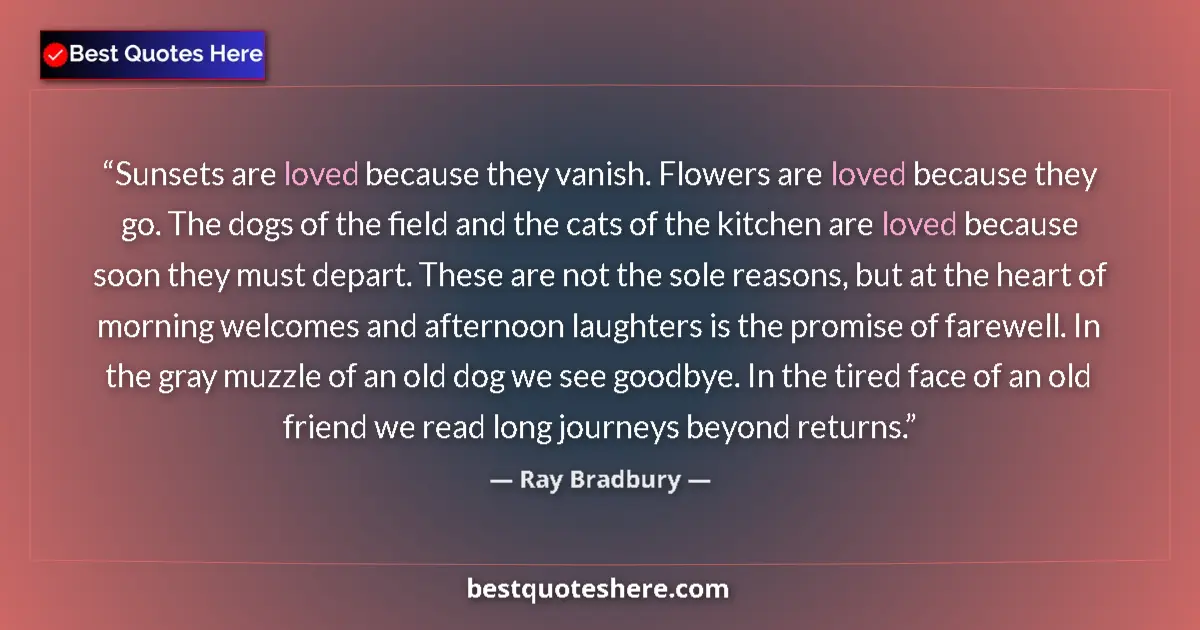 Quote by Ray Bradbury: Sunsets are loved because they vanish. Flowers are loved because they go. The dogs of the field and ...