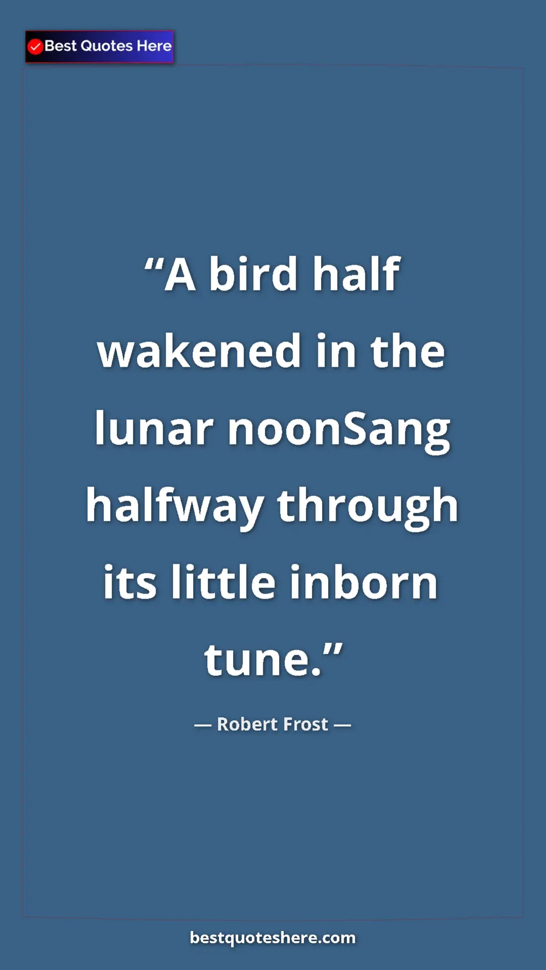 Pinterest quote poster by Robert Frost: "A bird half wakened in the lunar noonSang halfway through..."