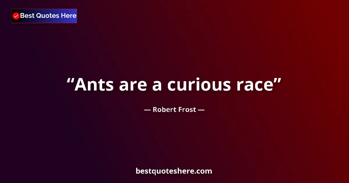 Quote by Robert Frost: Ants are a curious race...