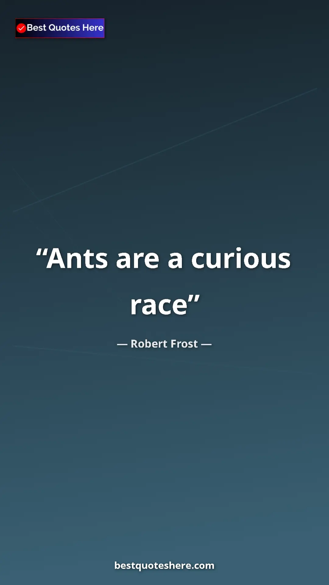 Pinterest quote poster by Robert Frost: "Ants are a curious race"