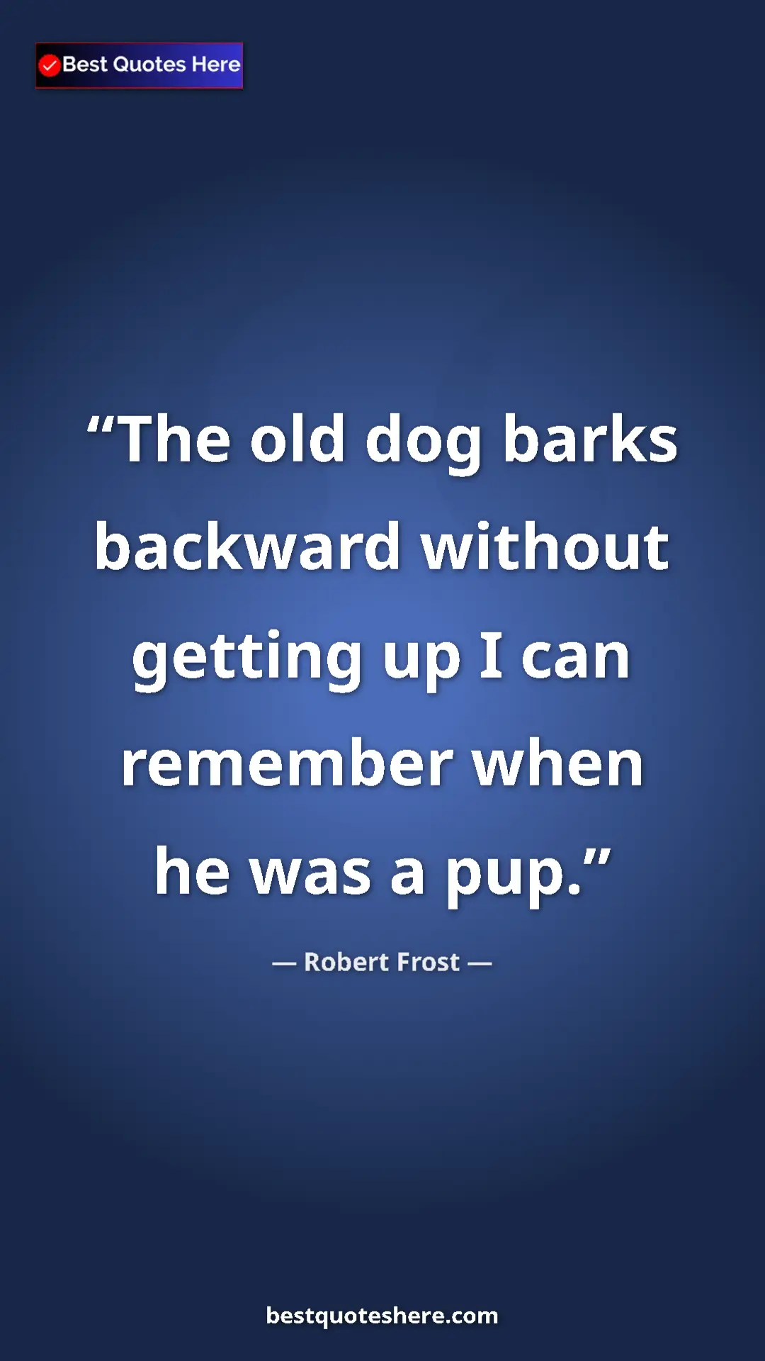 Pinterest quote poster by Robert Frost: "The old dog barks backward without getting up I can..."