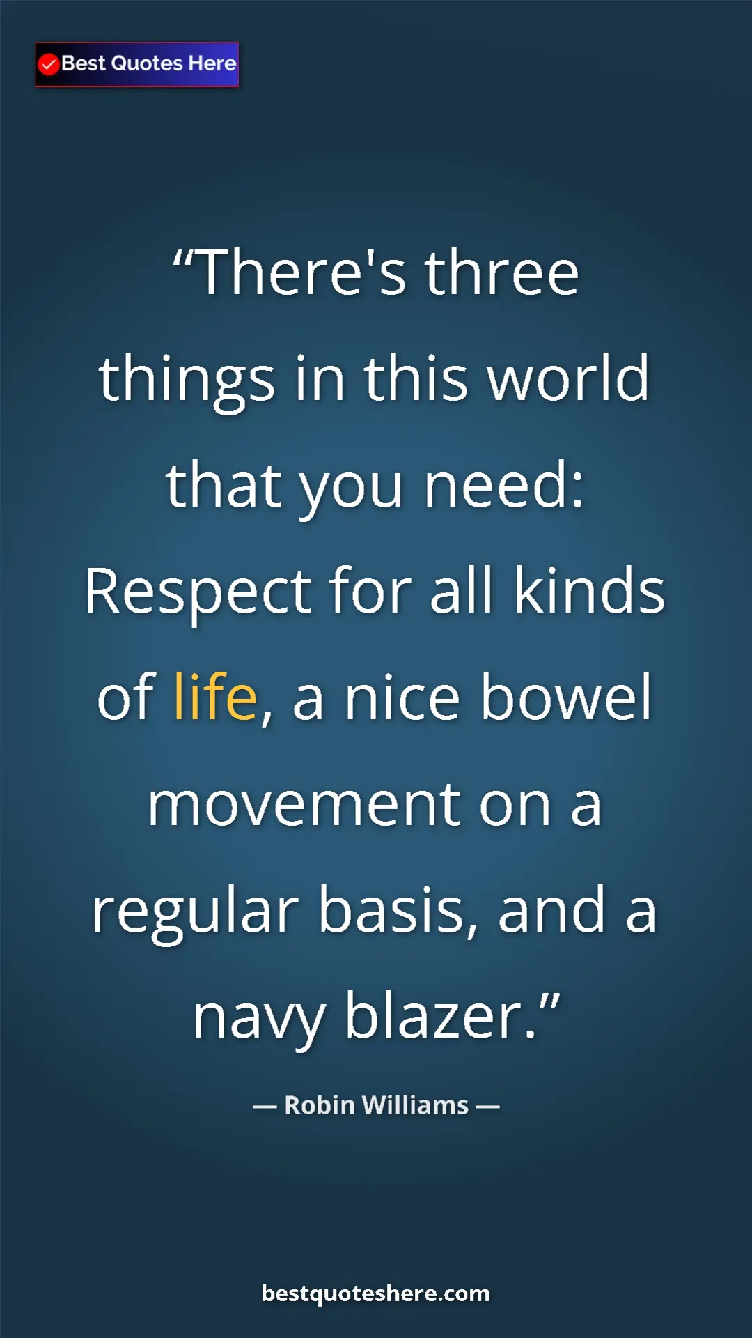 Pinterest quote poster by Robin Williams: "There's three things in this world that you need: Respect..."
