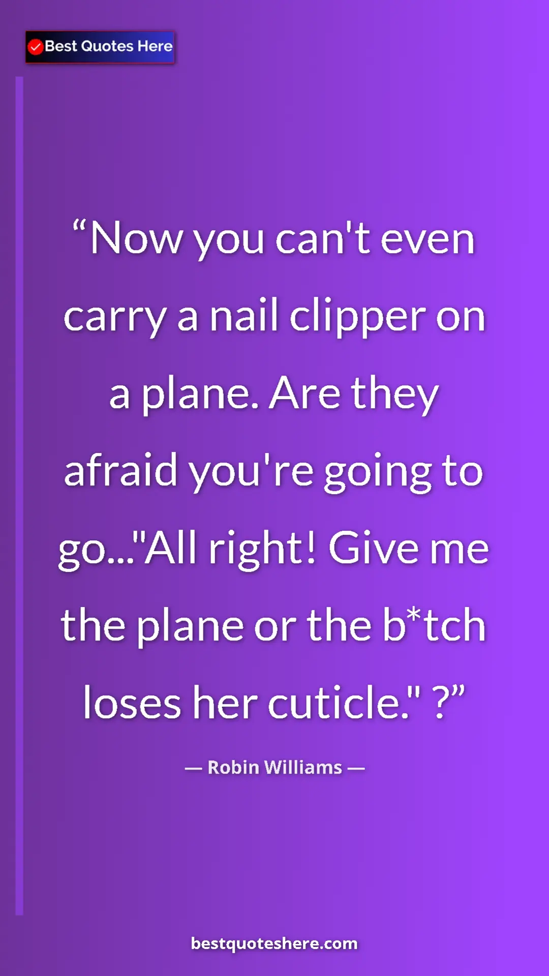 Pinterest quote poster by Robin Williams: "Now you can't even carry a nail clipper on a plane. Are..."