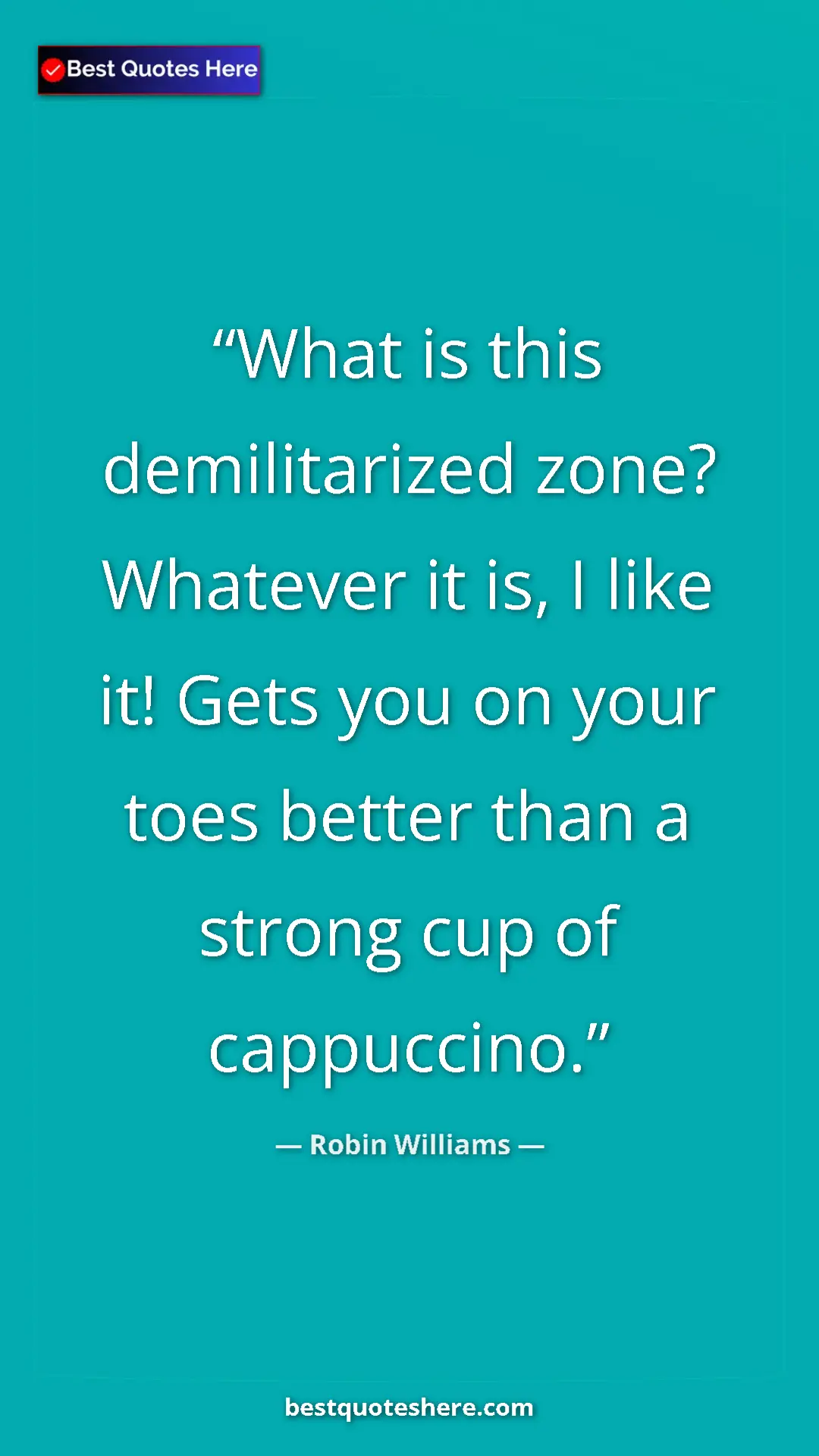 Pinterest quote poster by Robin Williams: "What is this demilitarized zone? Whatever it is, I like it!..."