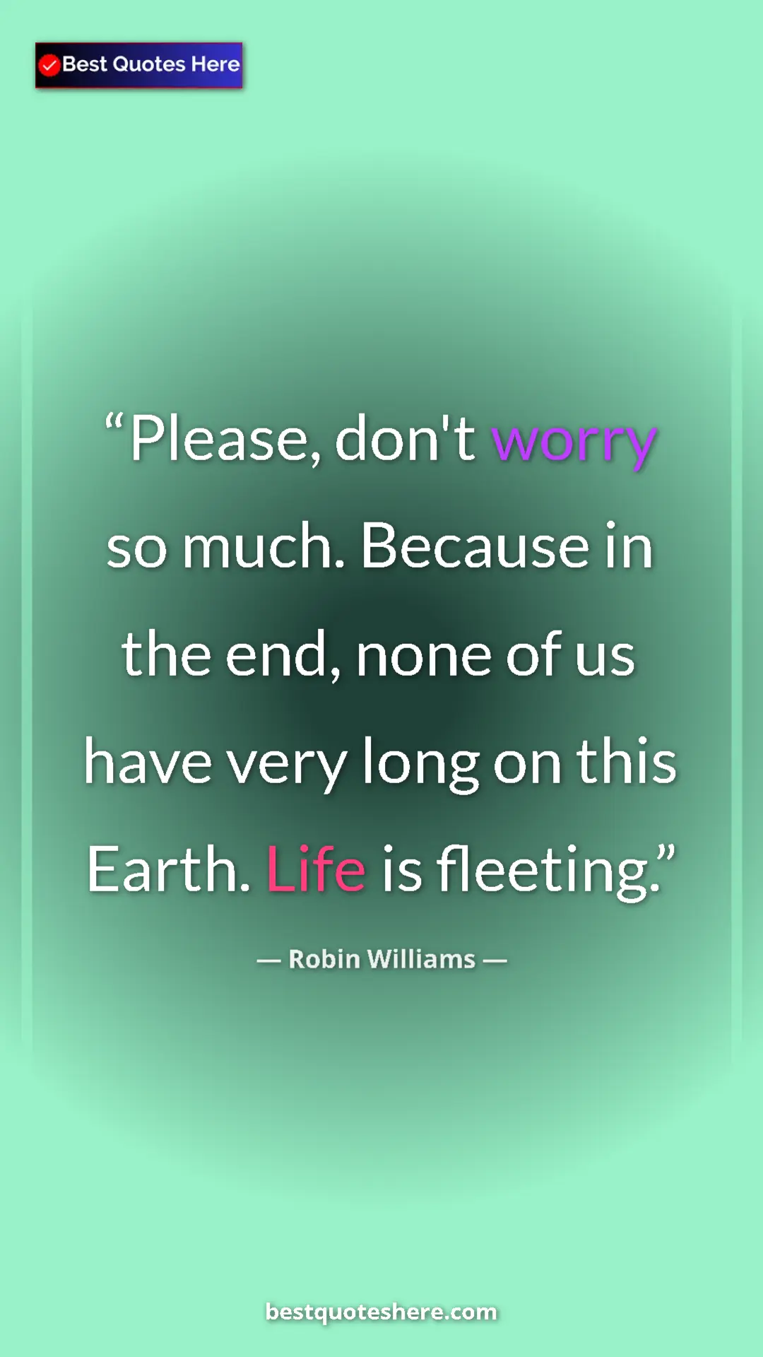 Pinterest quote poster by Robin Williams: "Please, don't worry so much. Because in the end, none of us..."