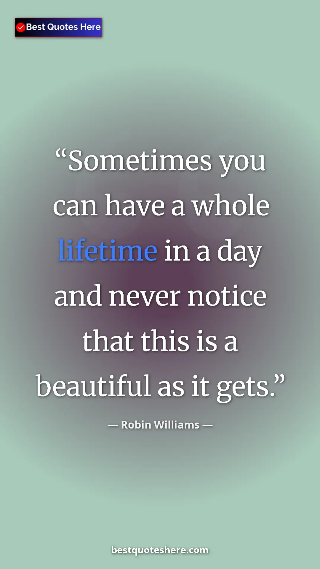 Pinterest quote poster by Robin Williams: "Sometimes you can have a whole lifetime in a day and never..."