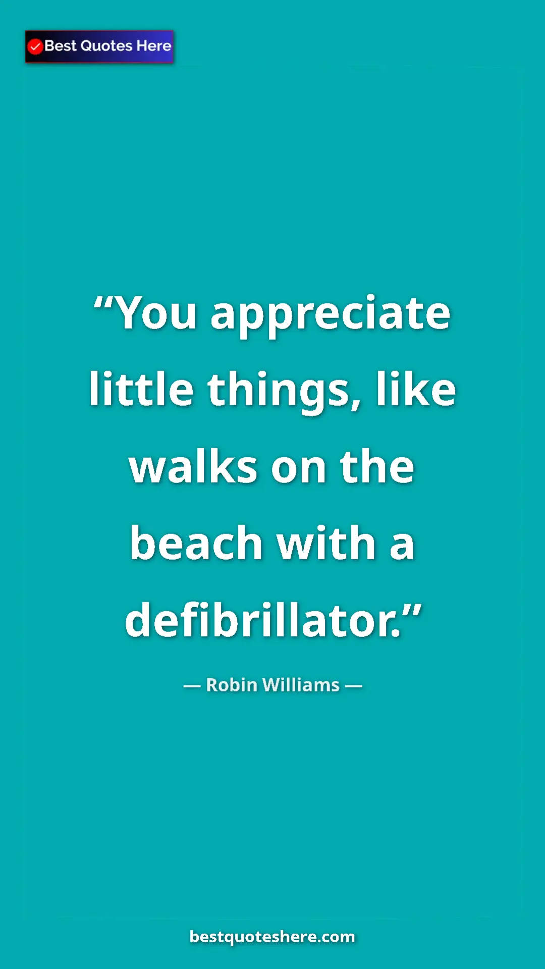 Pinterest quote poster by Robin Williams: "You appreciate little things, like walks on the beach with..."