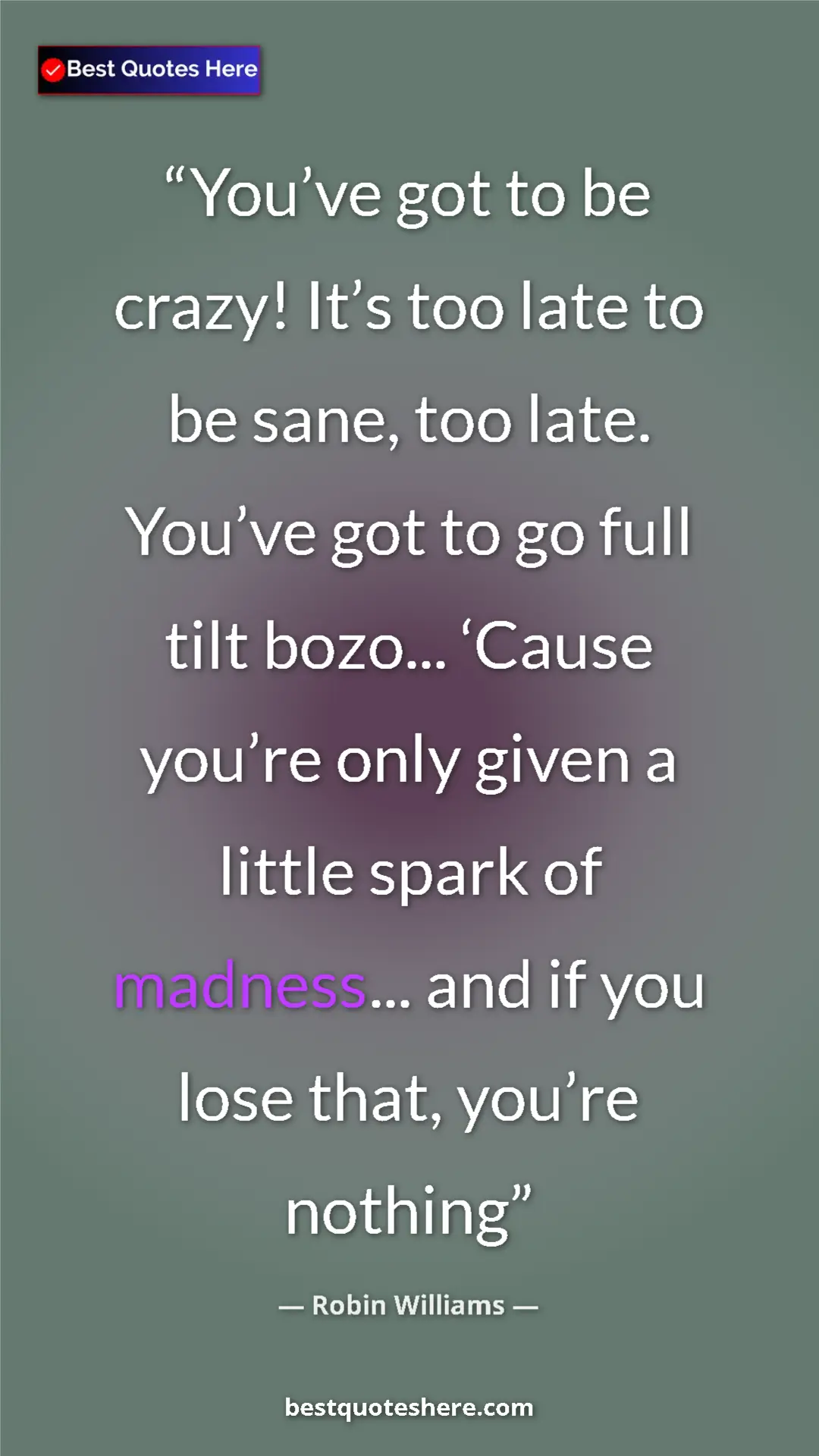 Pinterest quote poster by Robin Williams: "You’ve got to be crazy! It’s too late to be sane, too late...."