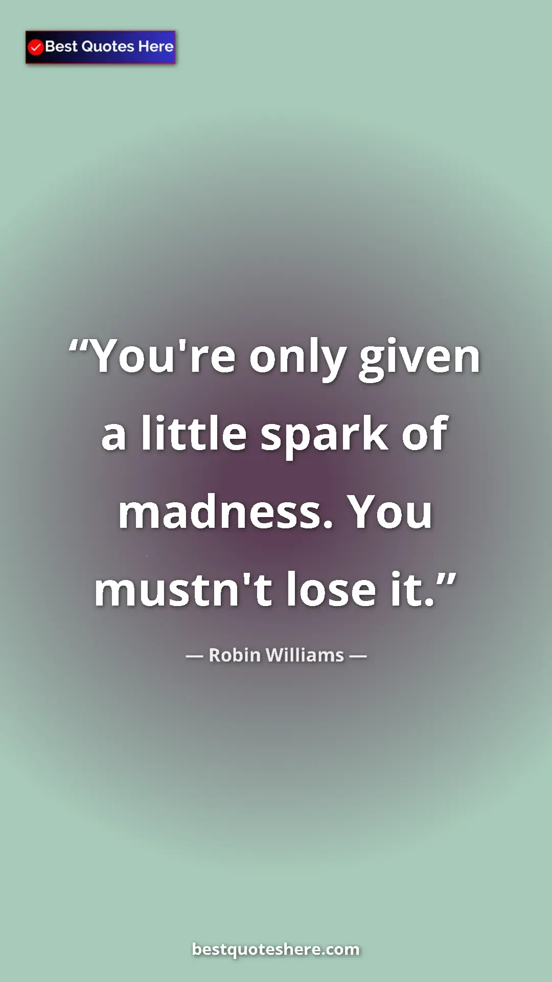 Pinterest quote poster by Robin Williams: "You're only given a little spark of madness. You mustn't..."