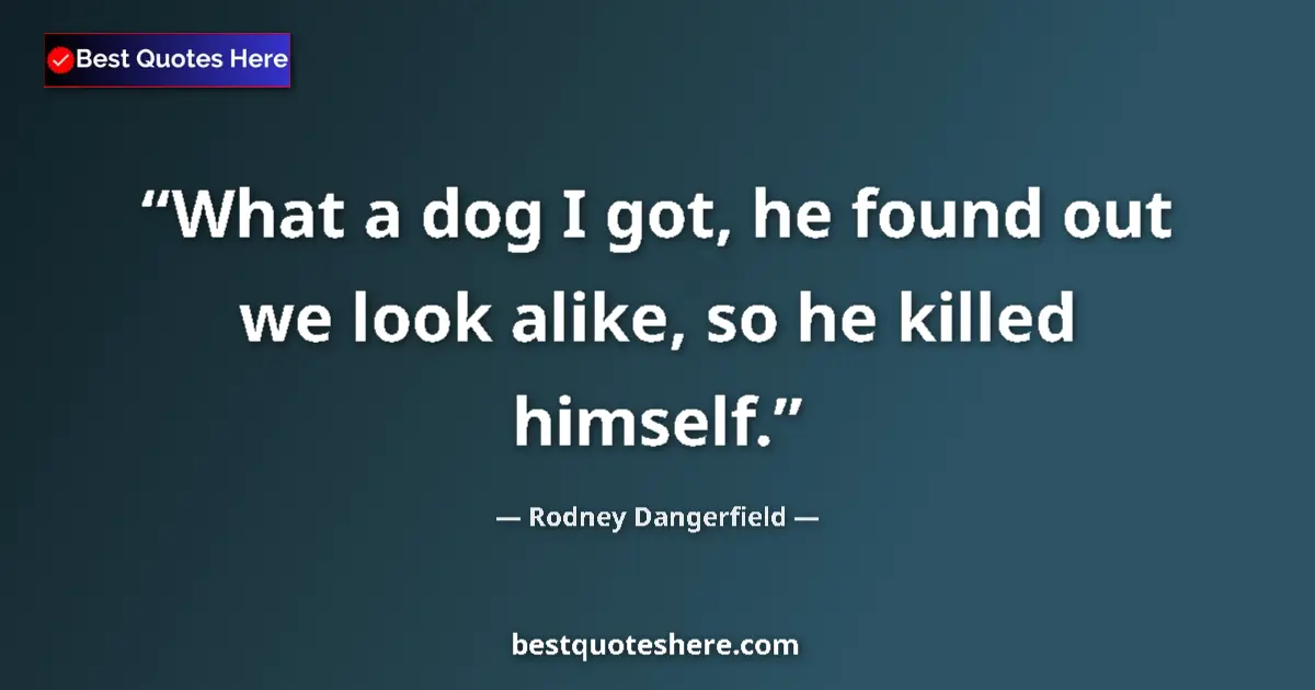 Quote by Rodney Dangerfield: What a dog I got, he found out we look alike, so he killed himself....