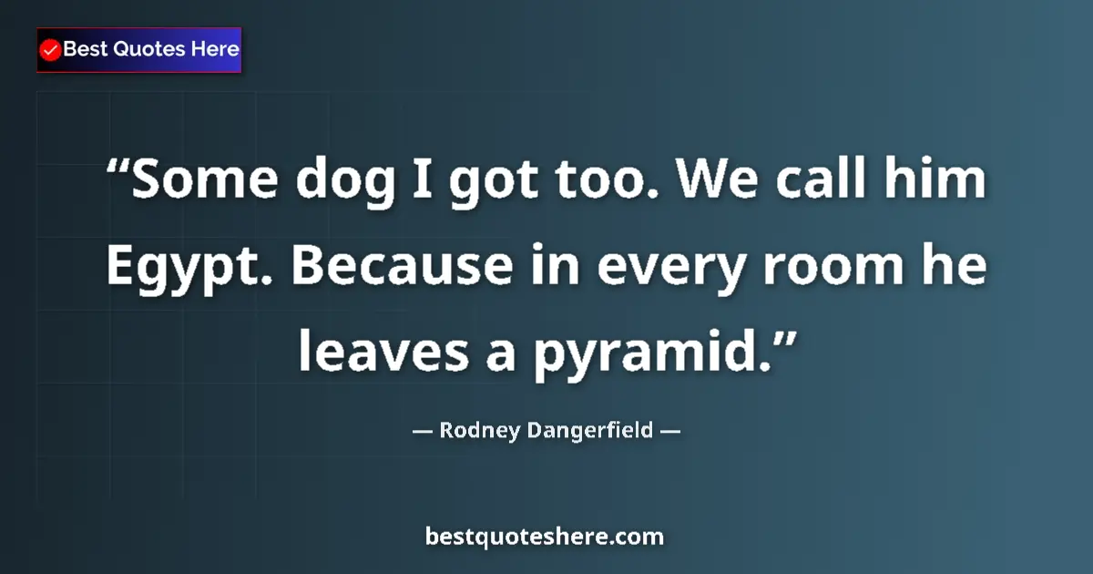 Quote by Rodney Dangerfield: Some dog I got too. We call him Egypt. Because in every room he leaves a pyramid....