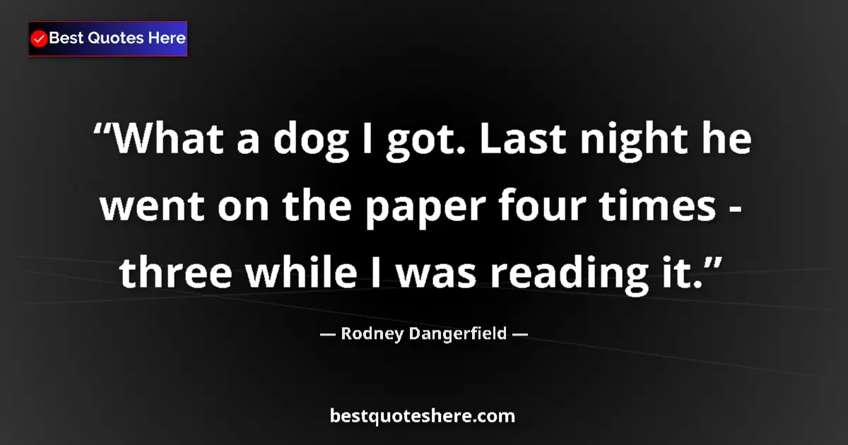 Quote by Rodney Dangerfield: What a dog I got. Last night he went on the paper four times - three while I was reading it....