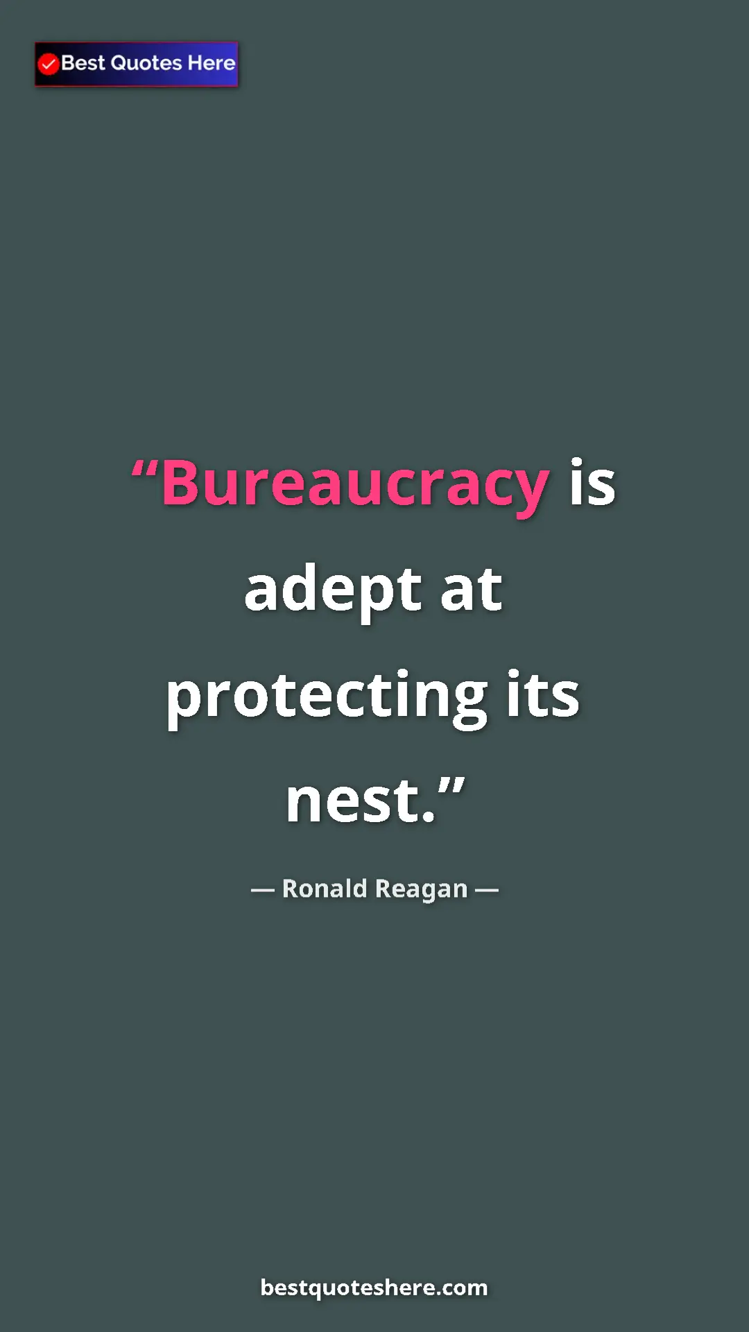 Pinterest quote poster by Ronald Reagan: "Bureaucracy is adept at protecting its nest."
