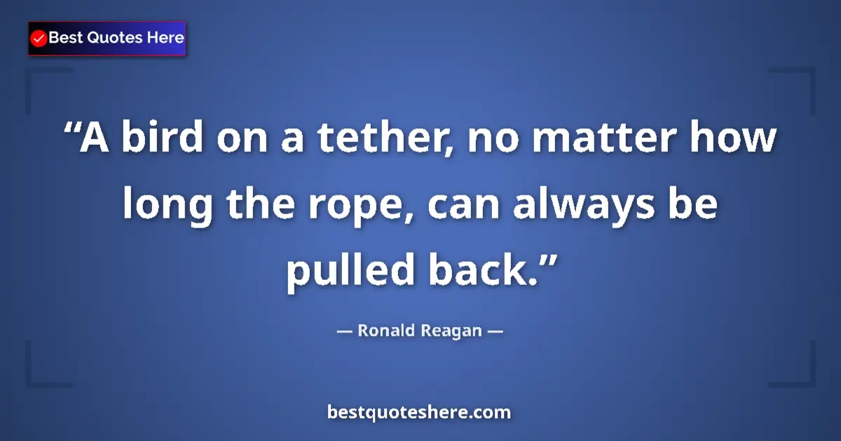 Quote by Ronald Reagan: A bird on a tether, no matter how long the rope, can always be pulled back....