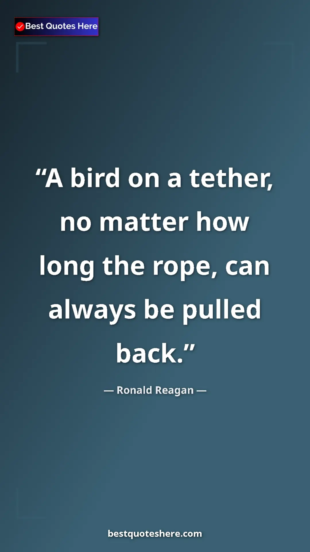 Pinterest quote poster by Ronald Reagan: "A bird on a tether, no matter how long the rope, can always..."