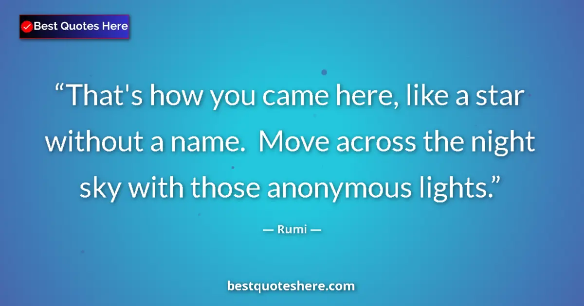 Rumi quote: "That's how you came here, like a star without a name.  Move..."