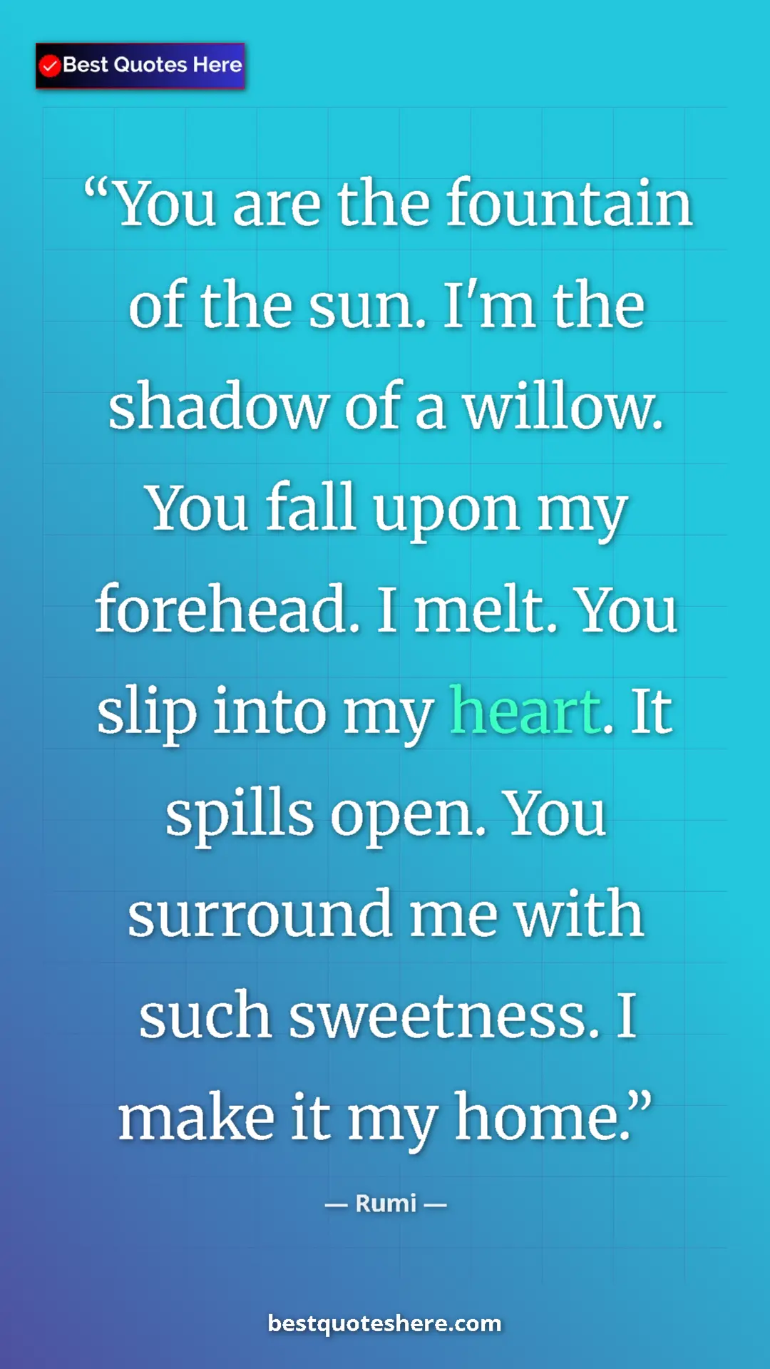 Pinterest quote poster by Rumi: "You are the fountain of the sun. I'm the shadow of a..."