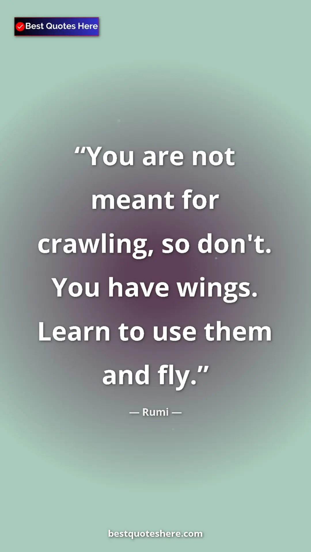 Pinterest quote poster by Rumi: "You are not meant for crawling, so don't. You have wings...."