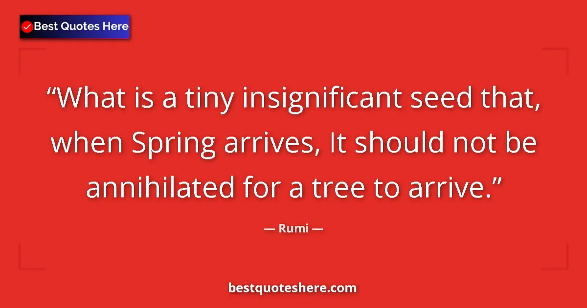Quote by Rumi: What is a tiny insignificant seed that, when Sprin