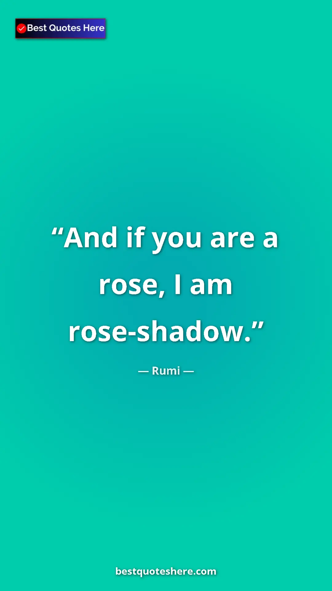 Pinterest quote poster by Rumi: "And if you are a rose, I am rose-shadow."
