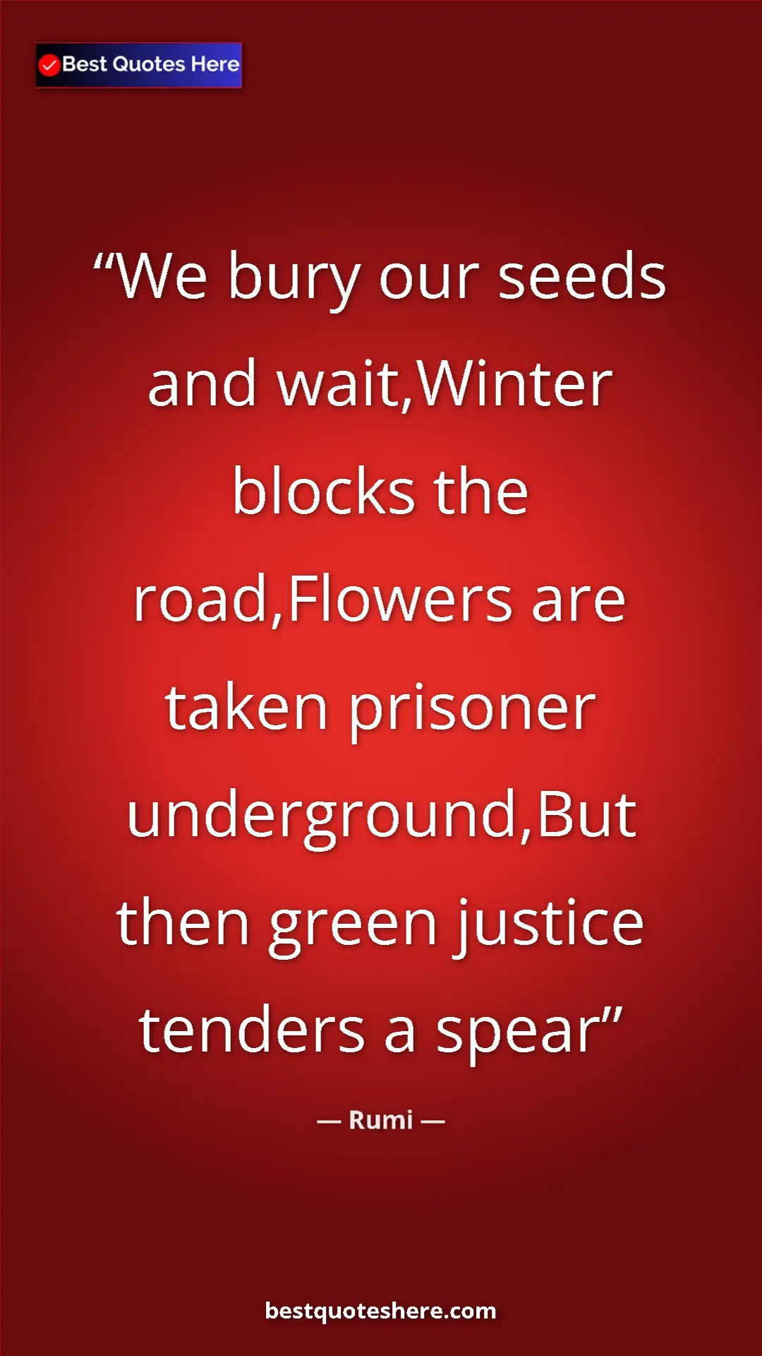 Pinterest quote poster by Rumi: "We bury our seeds and wait,Winter blocks the road,Flowers..."