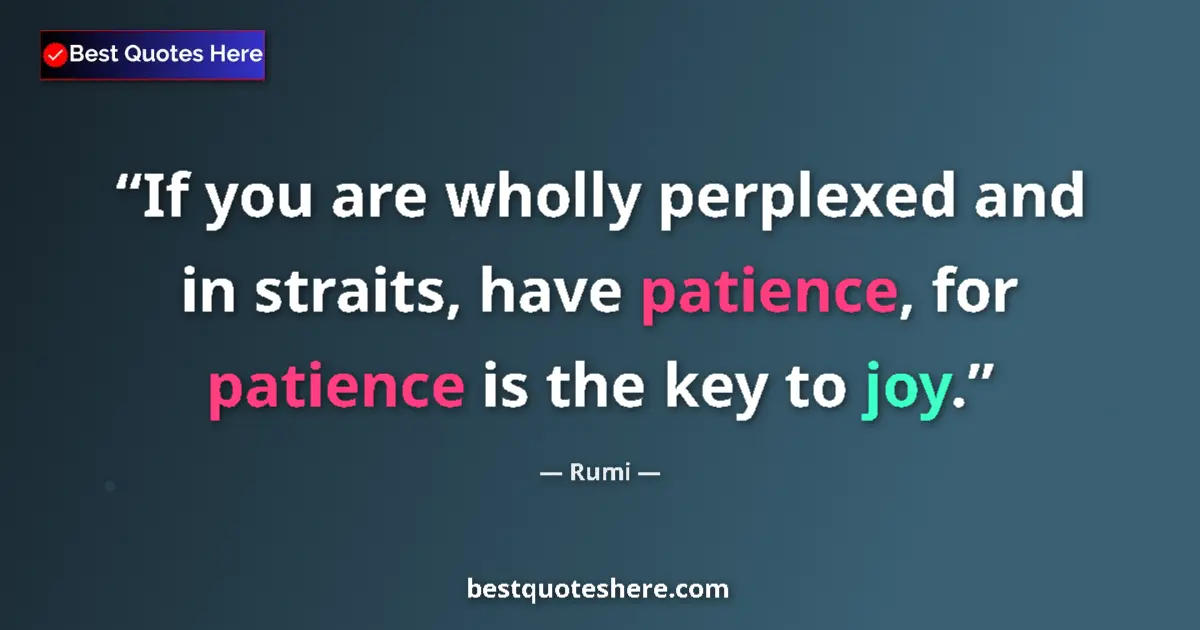 Quote by Rumi: If you are wholly perplexed and in straits, have patience, for patience is the key to joy....