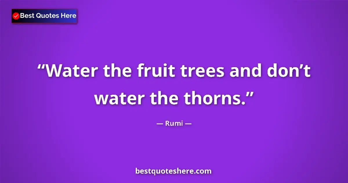 Quote by Rumi: Water the fruit trees and don’t water the thorns....
