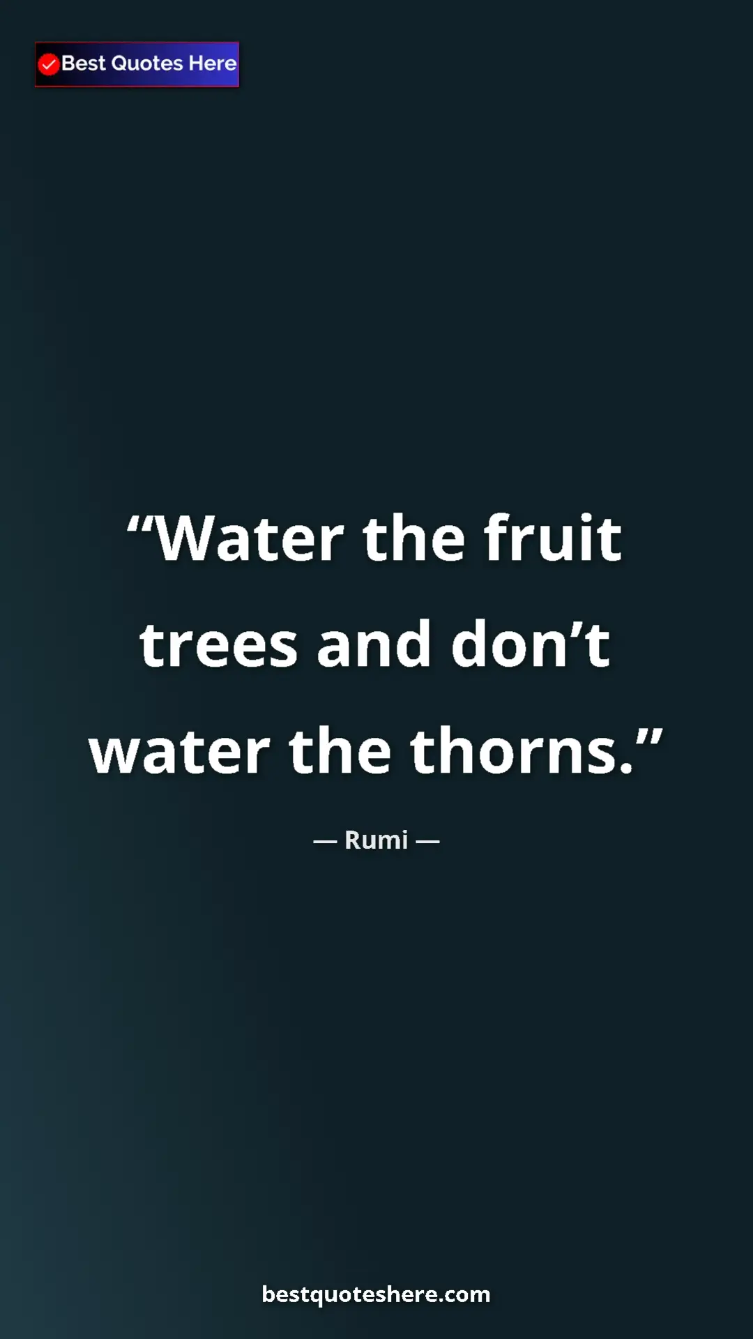 Pinterest quote poster by Rumi: "Water the fruit trees and don’t water the thorns."