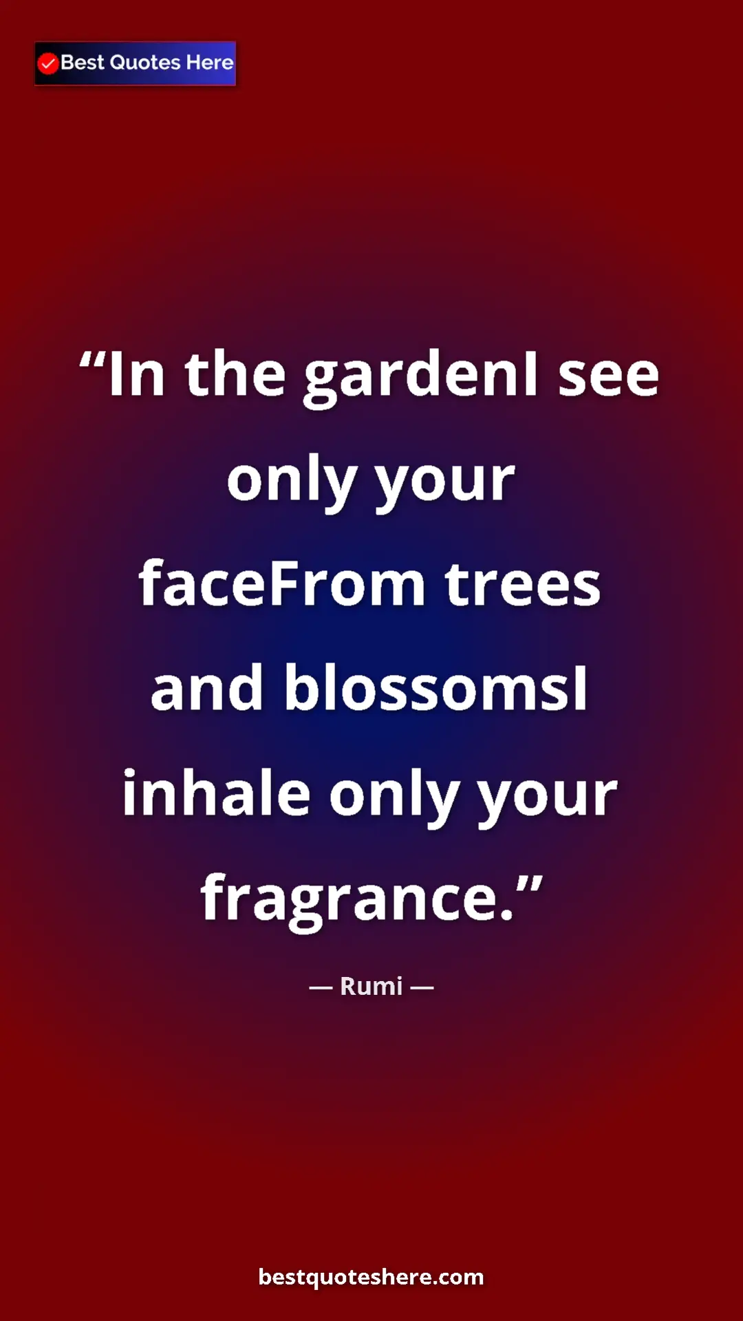 Pinterest quote poster by Rumi: "In the gardenI see only your faceFrom trees and blossomsI..."