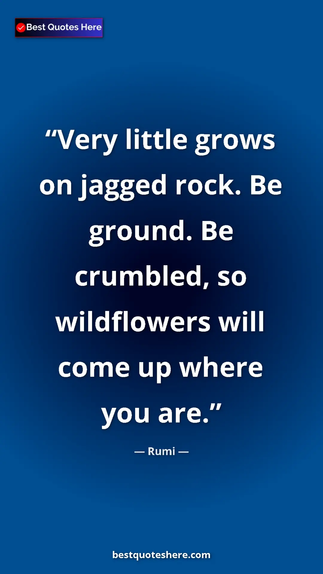 Pinterest quote poster by Rumi: "Very little grows on jagged rock. Be ground. Be crumbled,..."