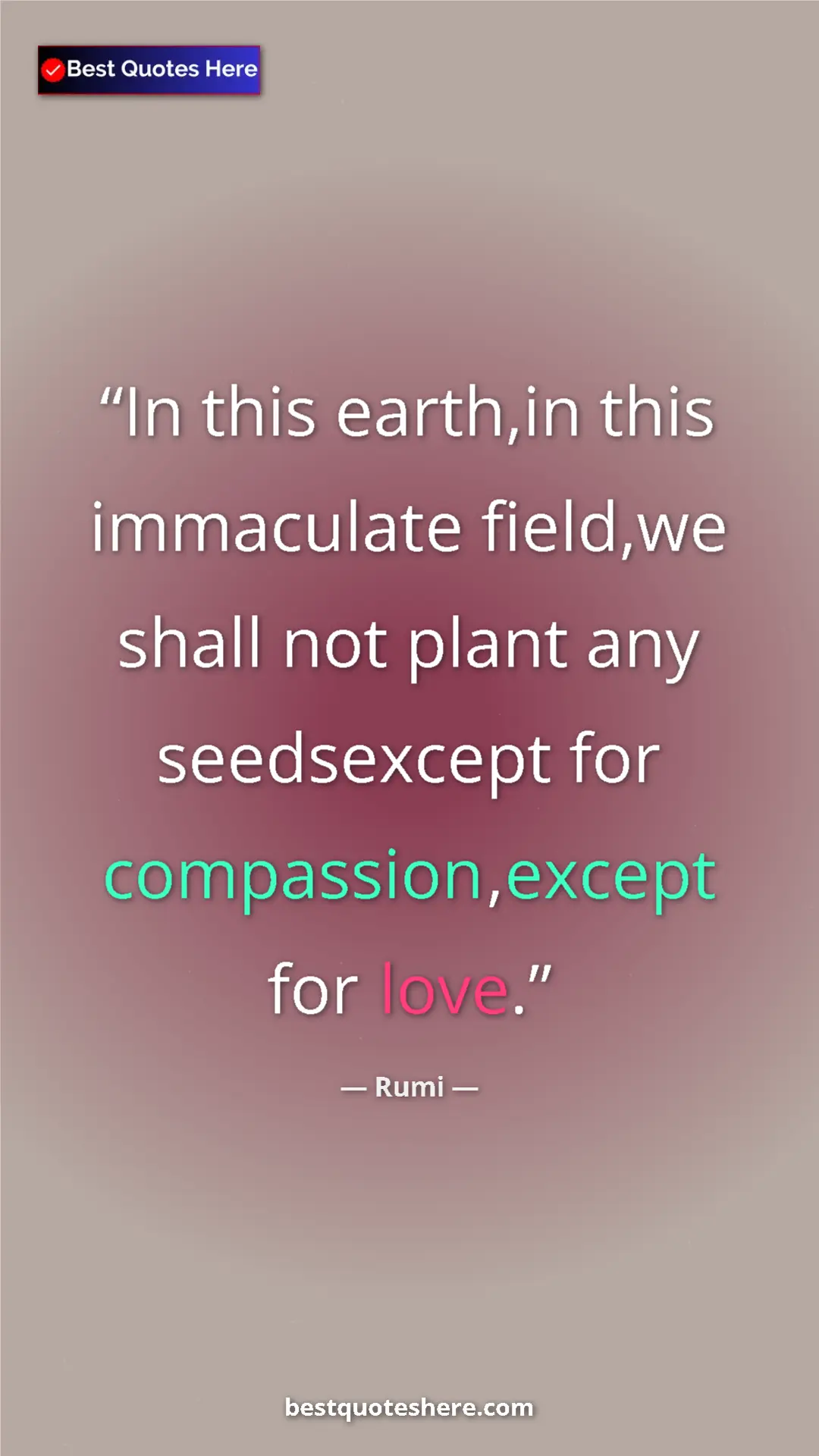 Pinterest quote poster by Rumi: "In this earth,in this immaculate field,we shall not plant..."