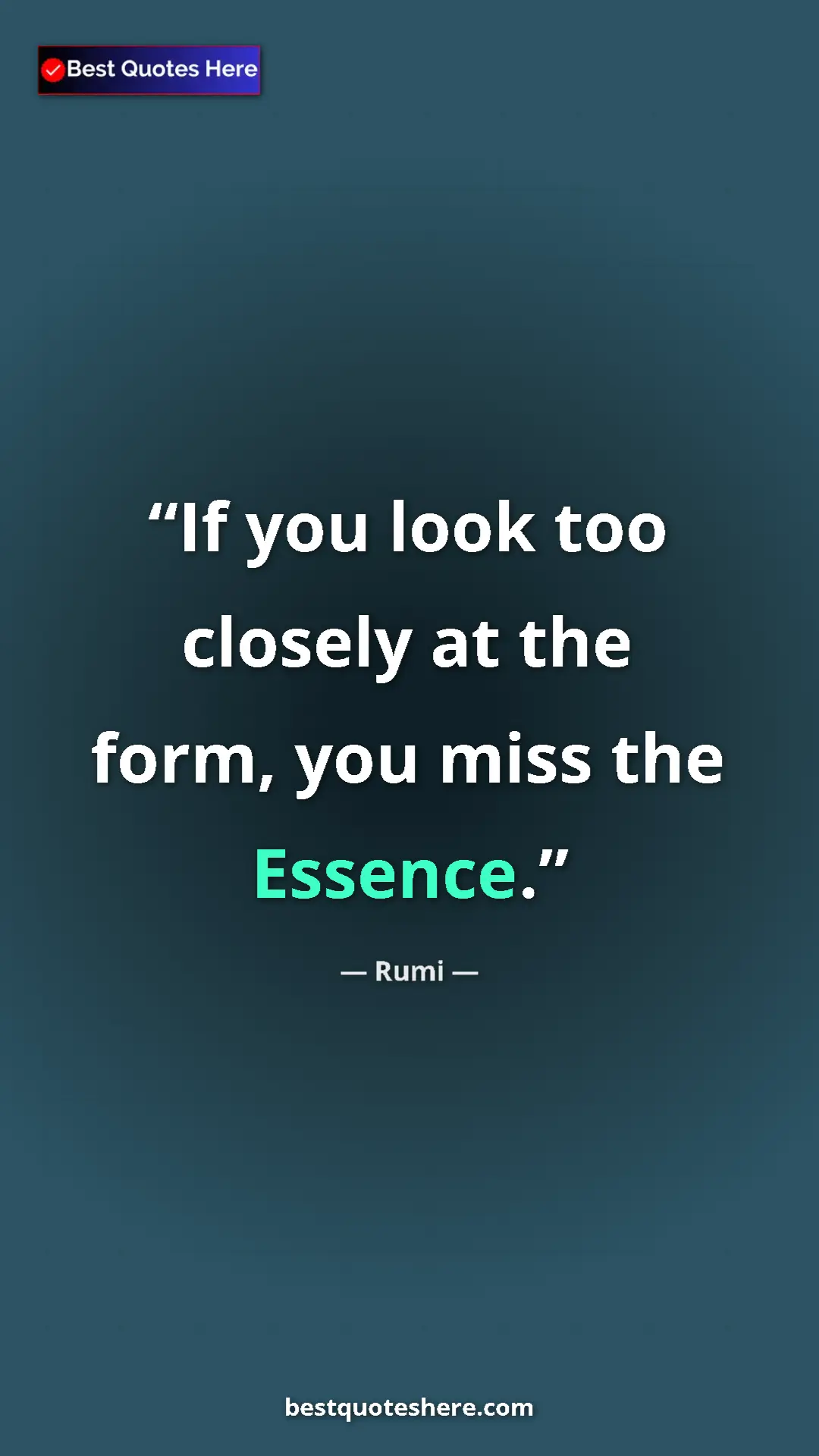 Pinterest quote poster by Rumi: "If you look too closely at the form, you miss the Essence."