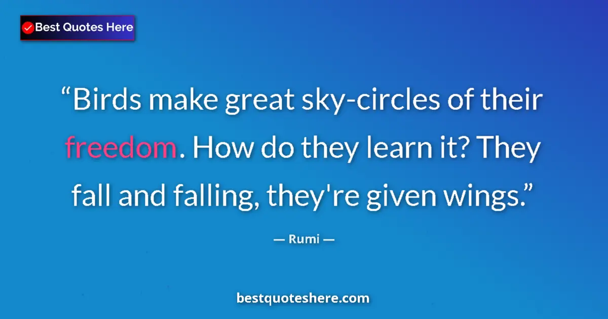 Quote by Rumi: Birds make great sky-circles of their freedom. How do they learn it? They fall and falling, they're ...
