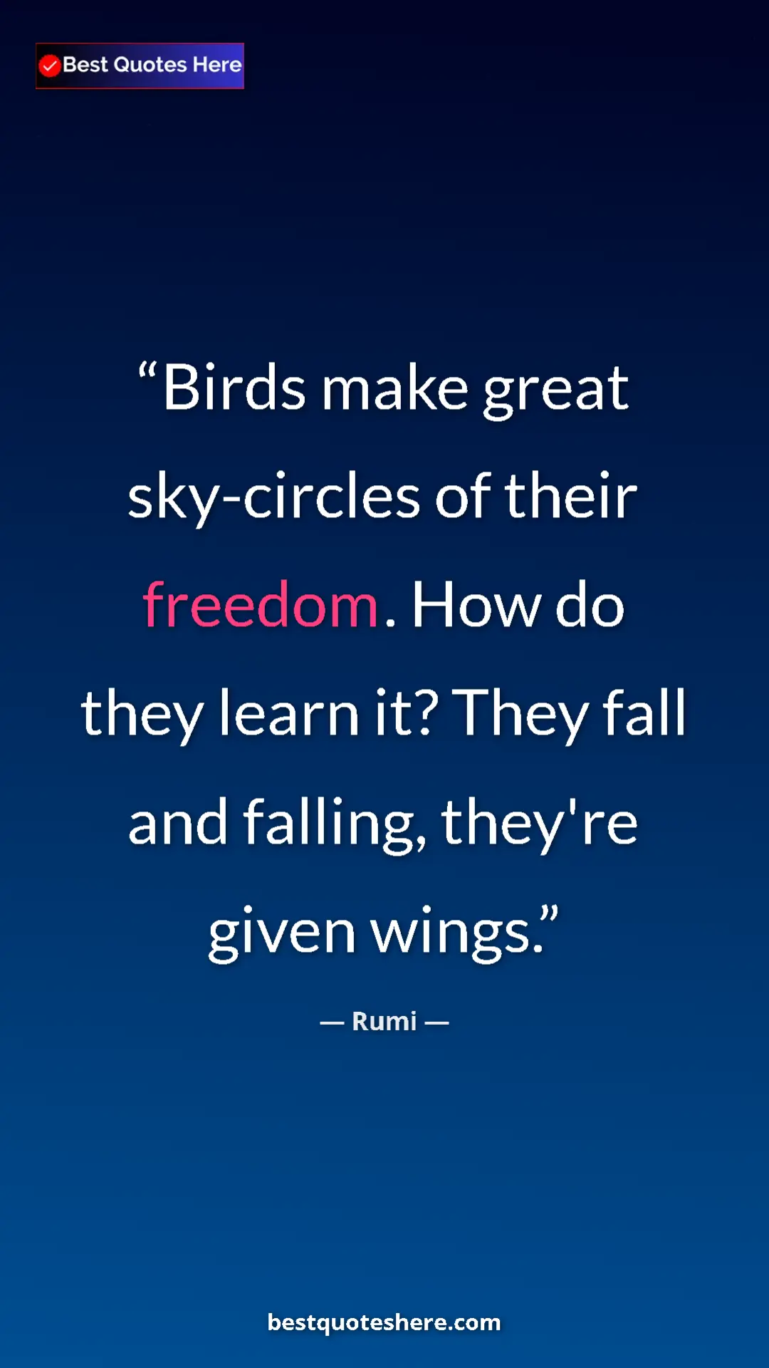 Pinterest quote poster by Rumi: "Birds make great sky-circles of their freedom. How do they..."