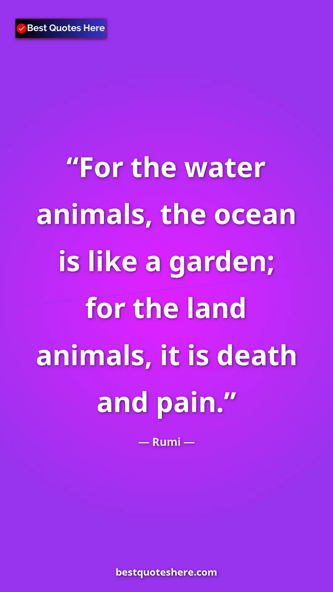 Pinterest quote poster by Rumi: "For the water animals, the ocean is like a garden; for the..."