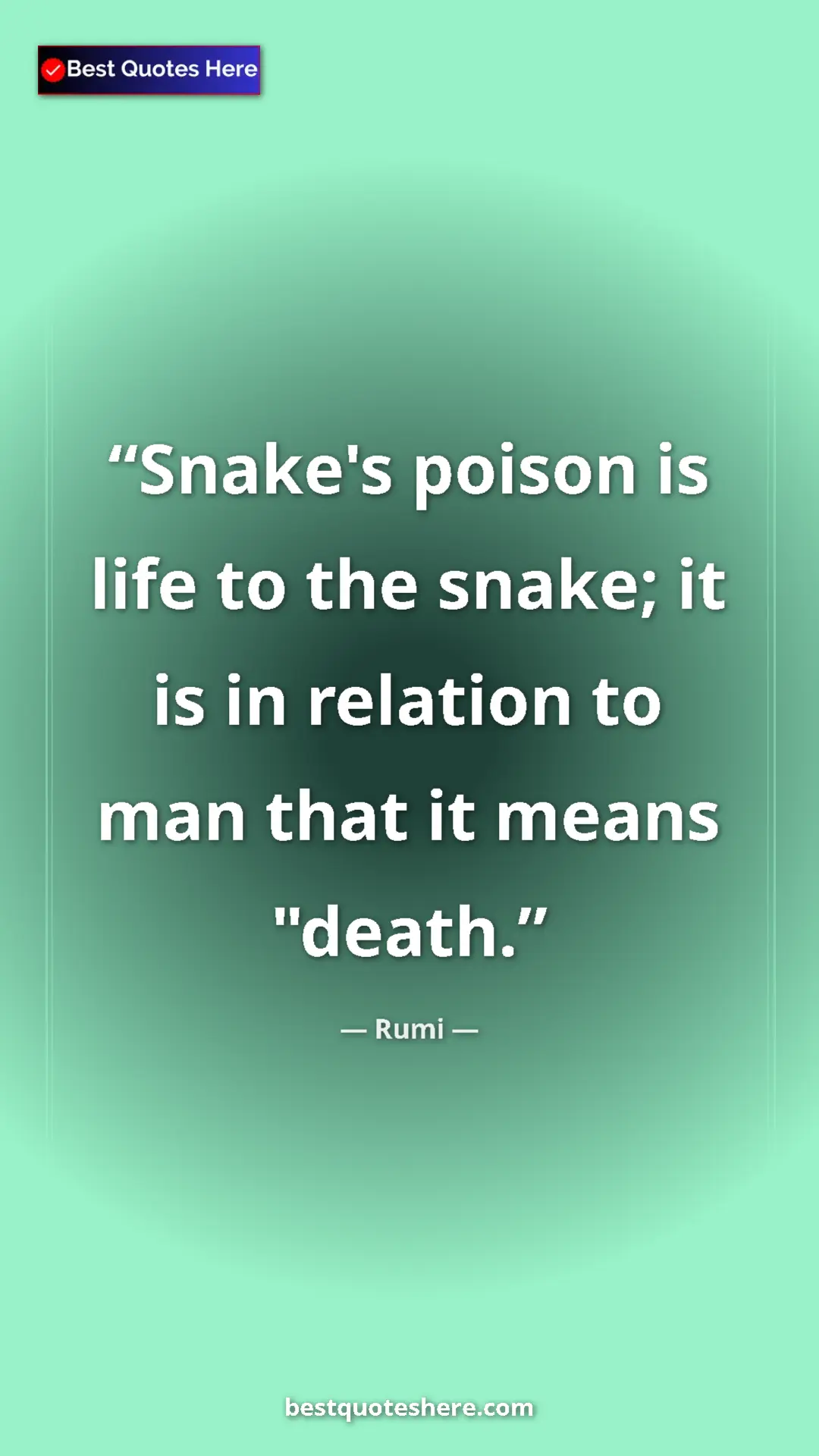 Pinterest quote poster by Rumi: "Snake's poison is life to the snake; it is in relation to..."