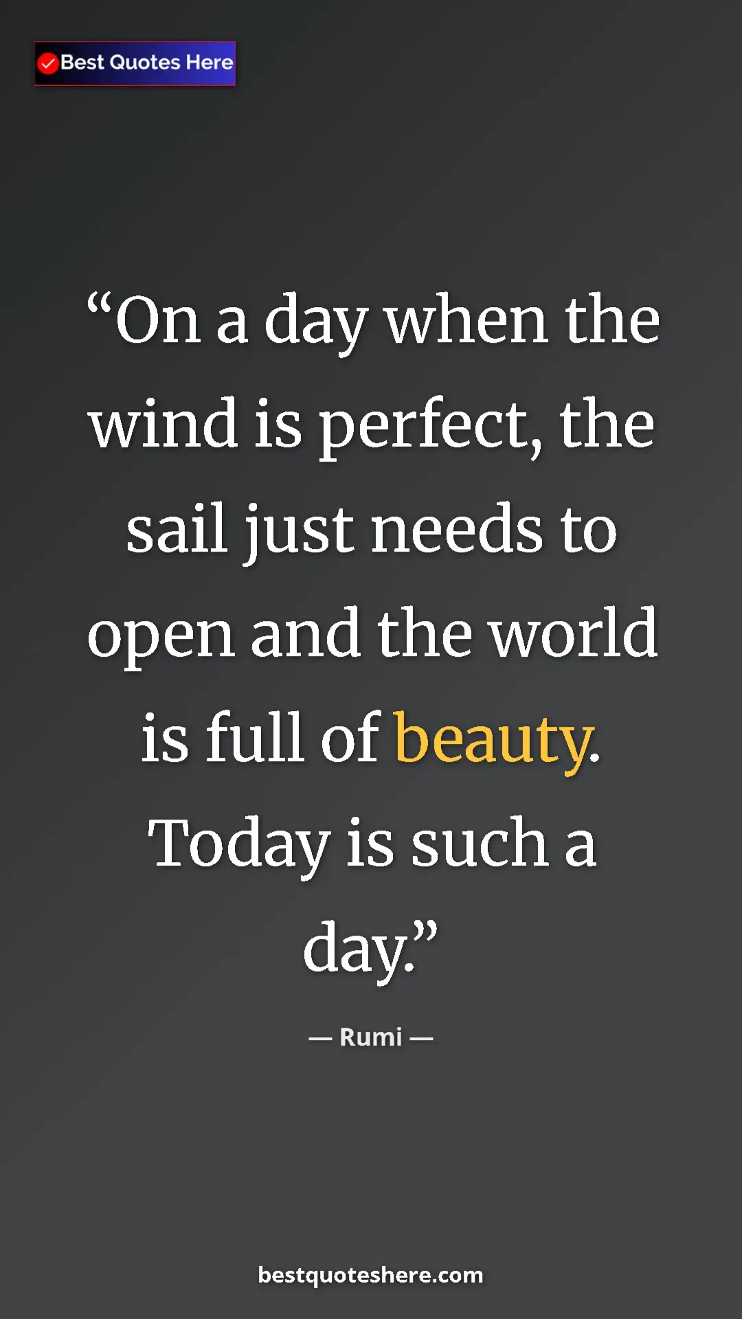 Pinterest quote poster by Rumi: "On a day when the wind is perfect, the sail just needs to..."
