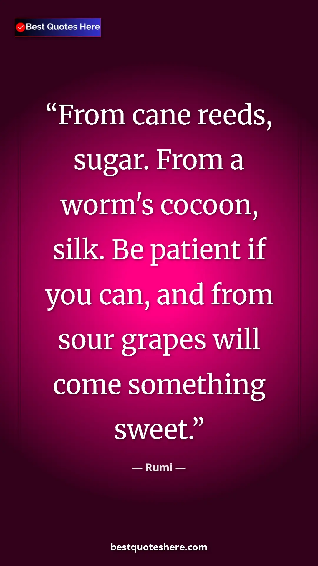 Pinterest quote poster by Rumi: "From cane reeds, sugar. From a worm's cocoon, silk. Be..."