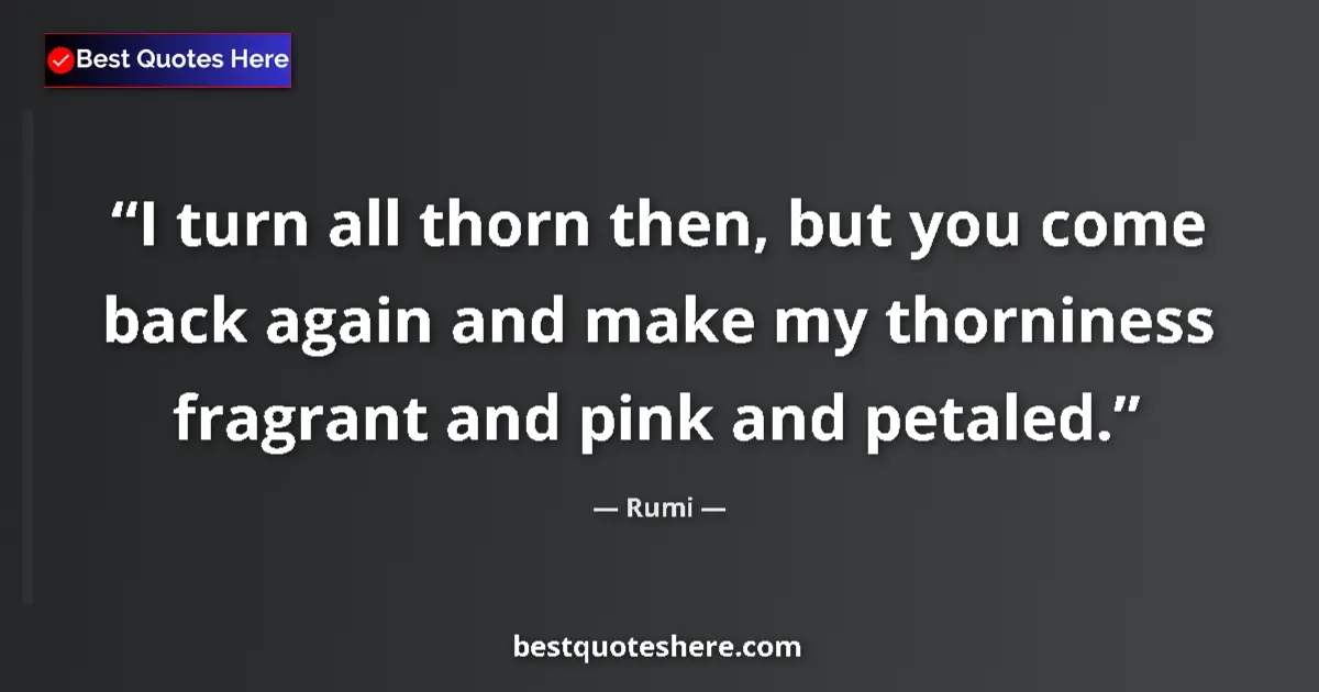 Quote by Rumi: I turn all thorn then, but you come back again and make my thorniness fragrant and pink and petaled....
