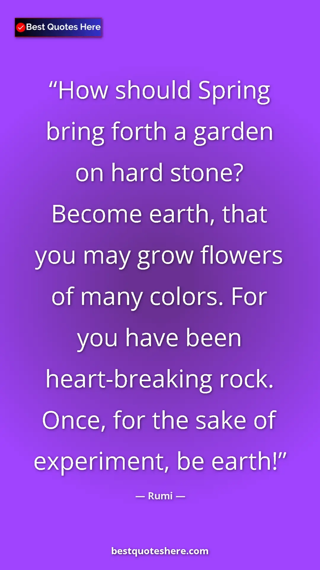 Pinterest quote poster by Rumi: "How should Spring bring forth a garden on hard stone?..."