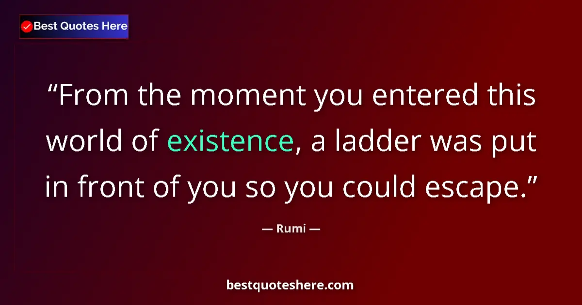 Quote by Rumi: From the moment you entered this world of existence, a ladder was put in front of you so you could e...