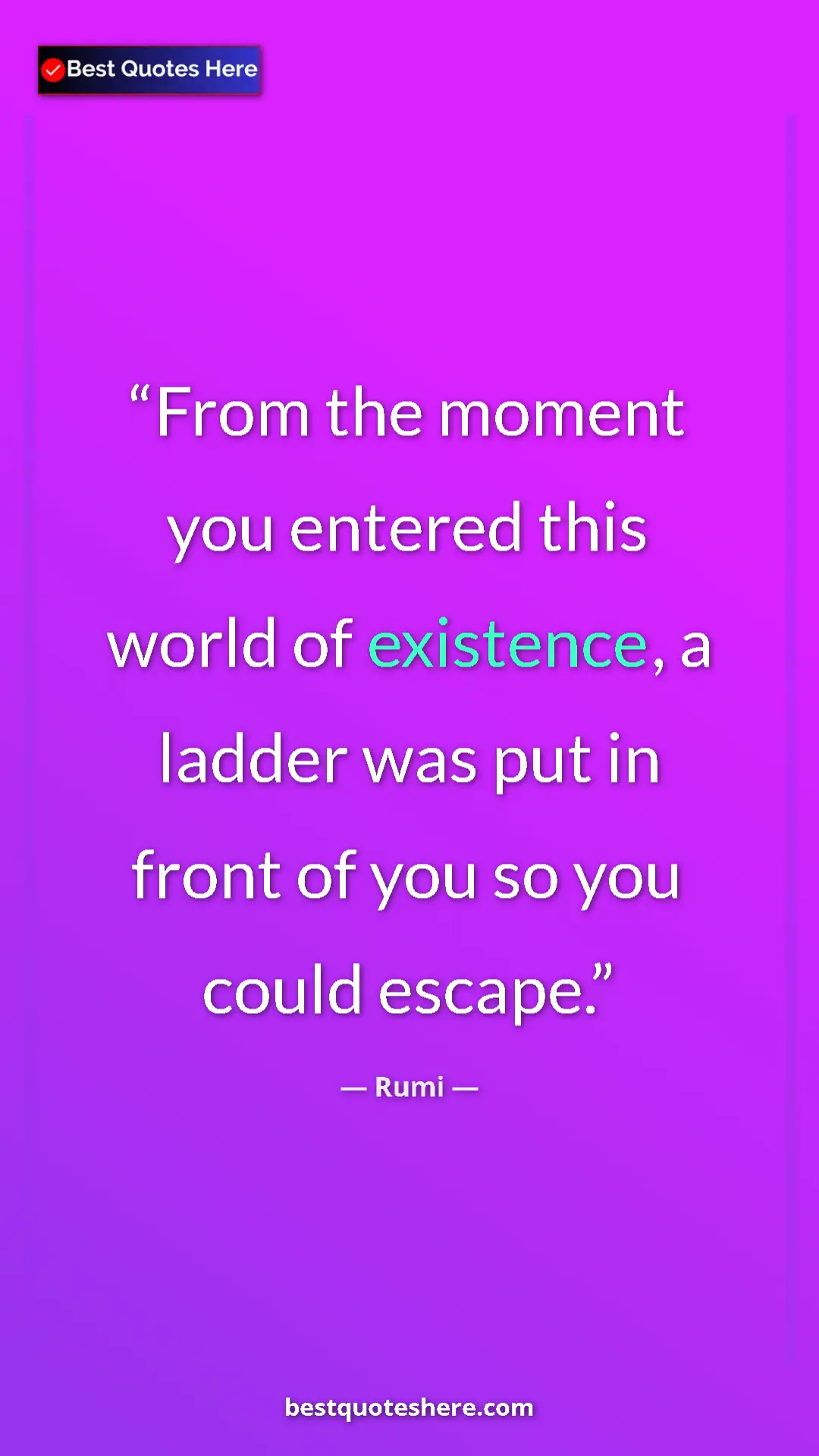 Pinterest quote poster by Rumi: "From the moment you entered this world of existence, a ladde"