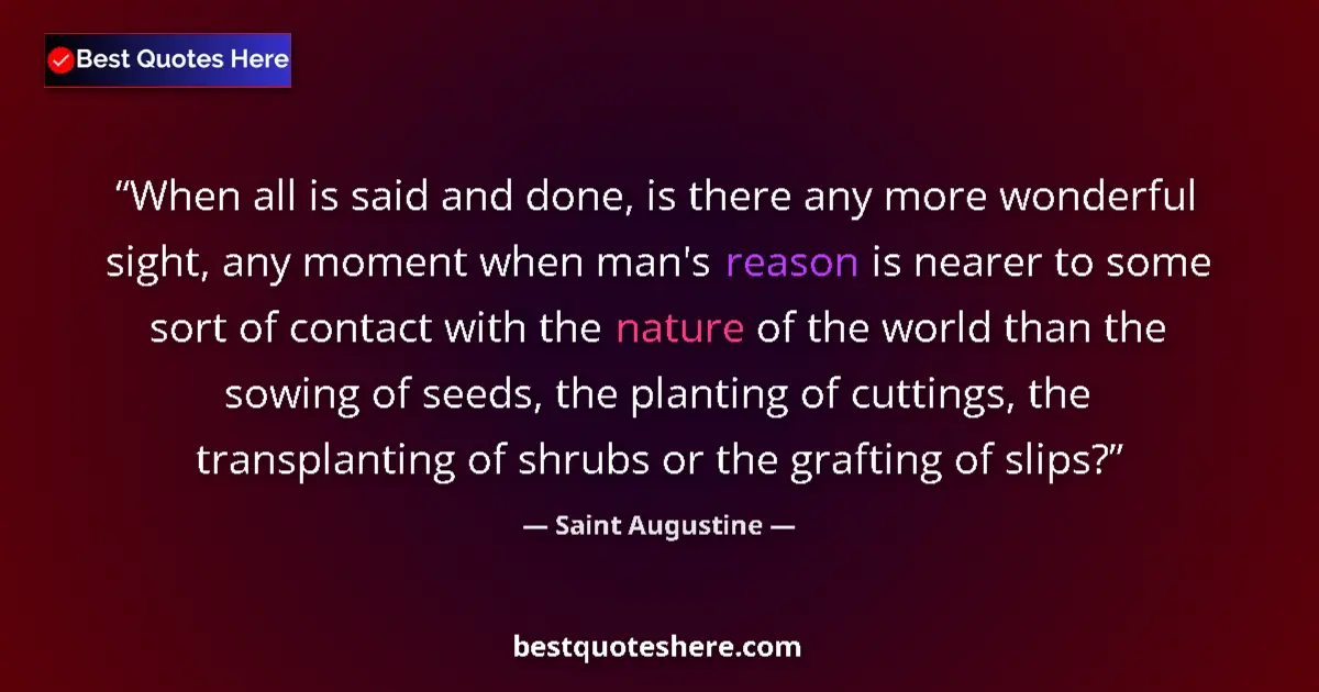 Quote by Saint Augustine: When all is said and done, is there any more wonderful sight, any moment when man's reason is nearer...