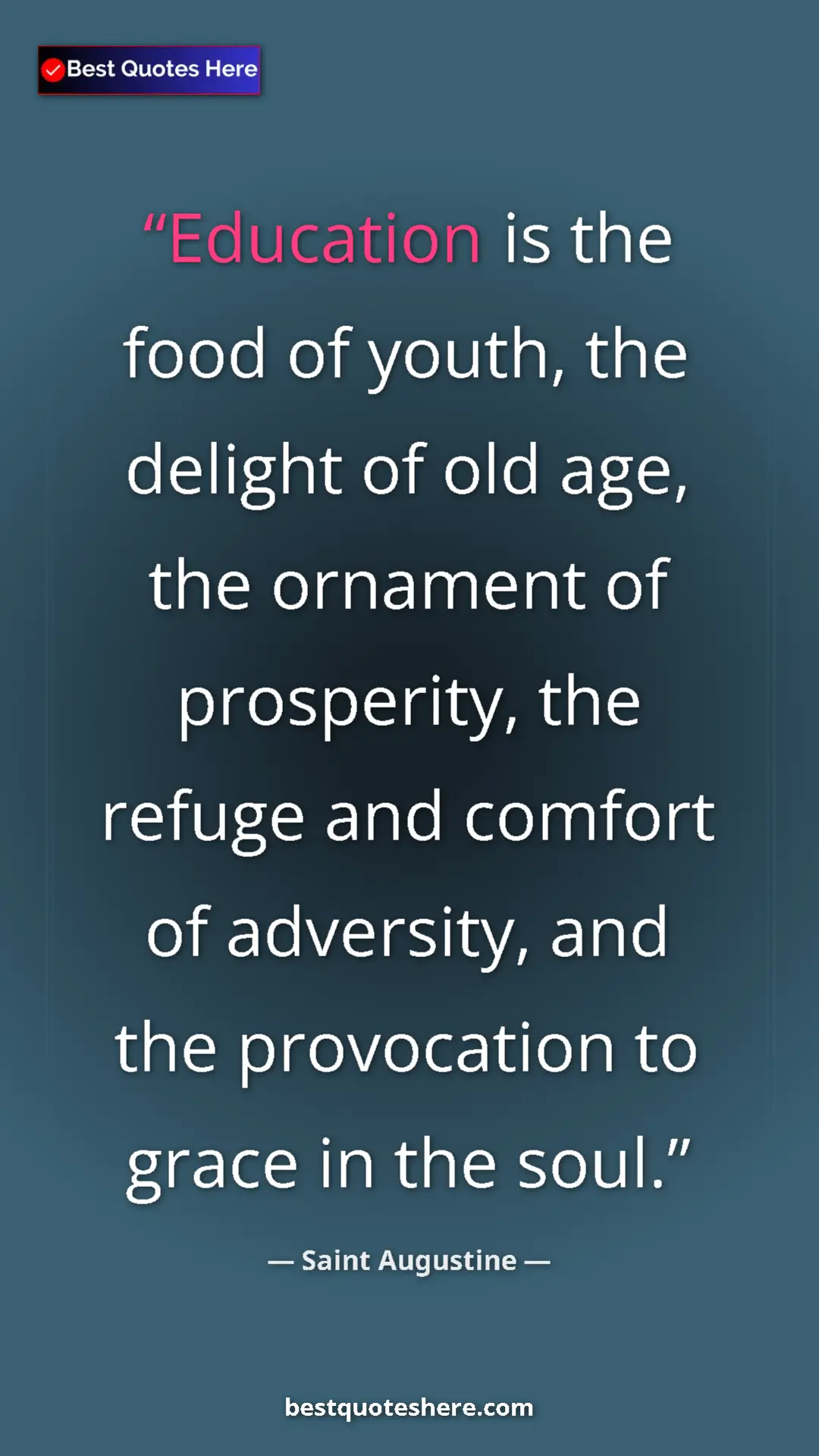 Pinterest quote poster by Saint Augustine: "Education is the food of youth, the delight of old age, the..."