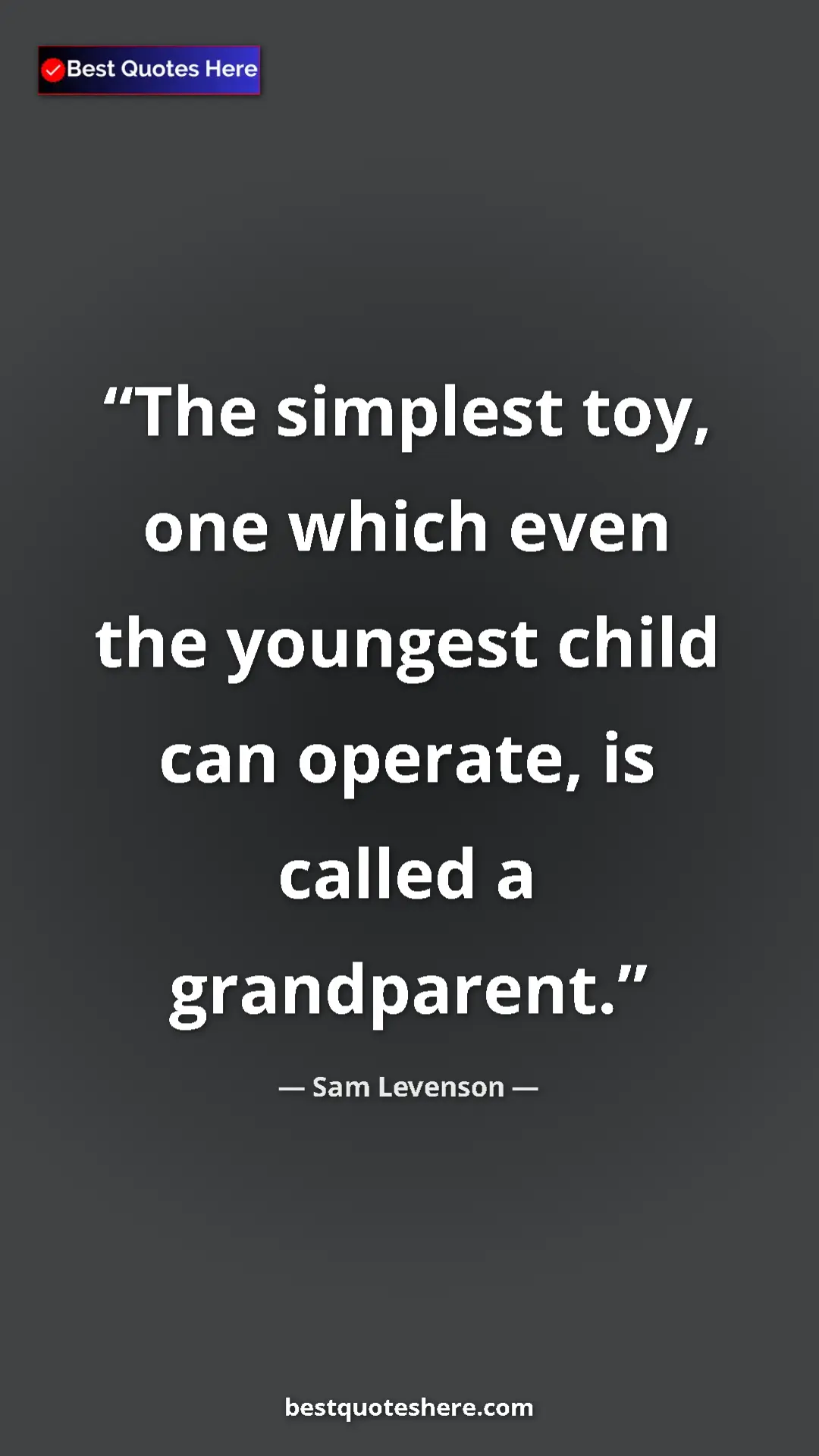 Pinterest quote poster by Sam Levenson: "The simplest toy, one which even the youngest child can..."