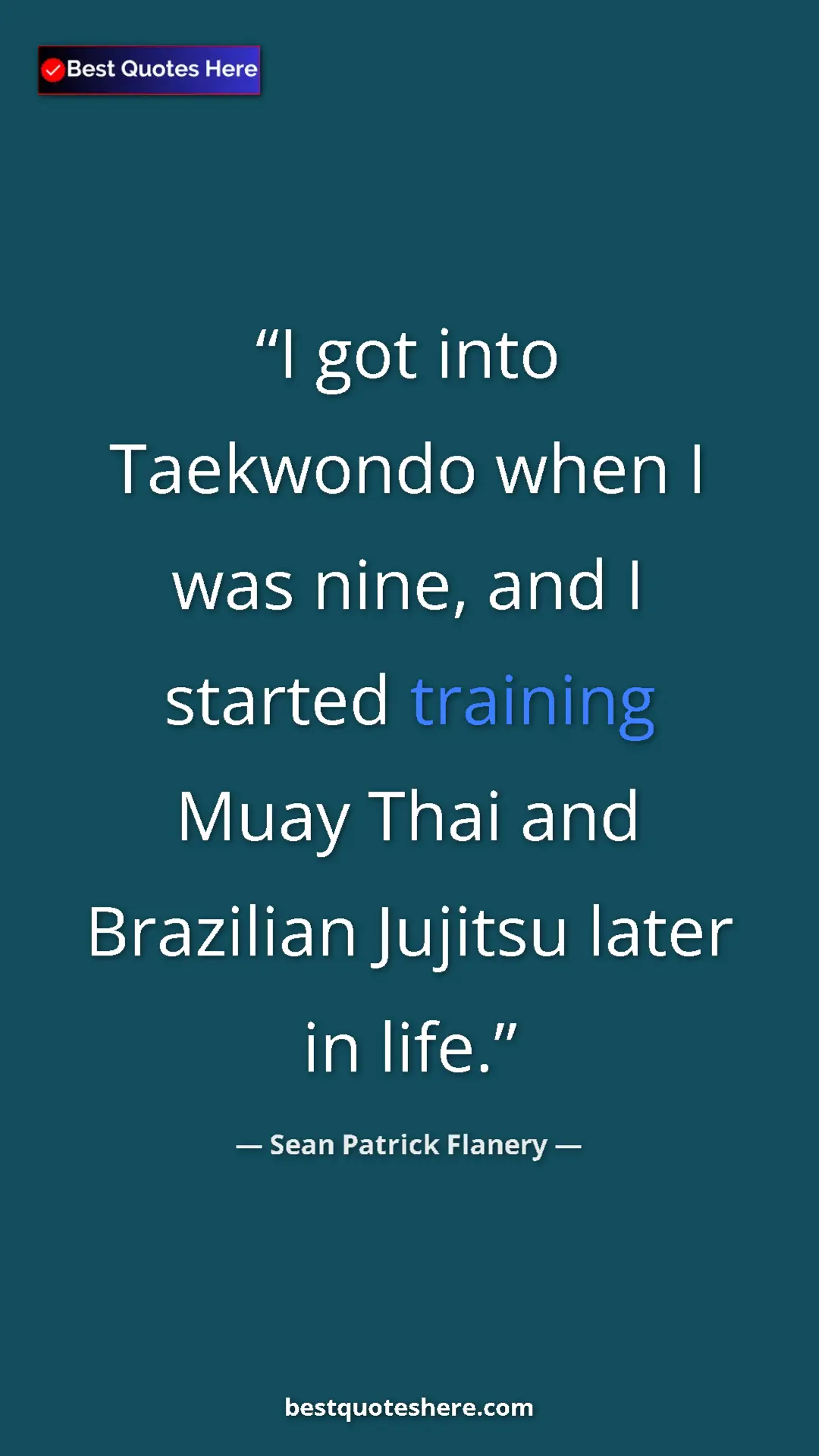 Pinterest quote poster by Sean Patrick Flanery: "I got into Taekwondo when I was nine, and I started..."