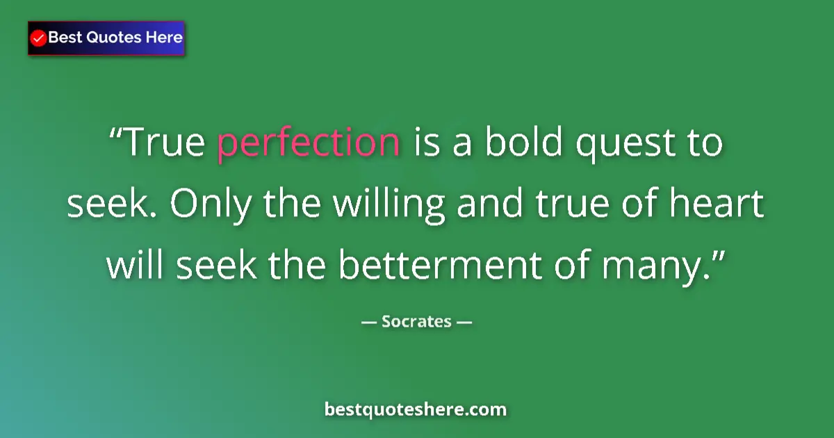 Quote by Socrates: True perfection is a bold quest to seek. Only the willing and true of heart will seek the betterment...