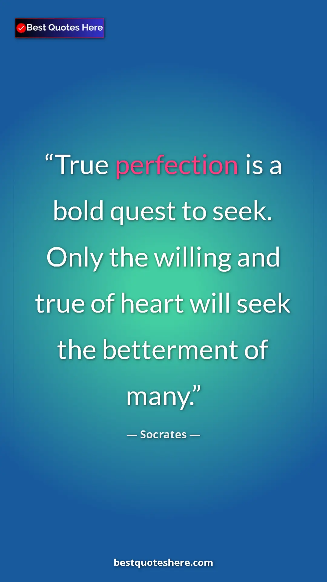 Pinterest quote poster by Socrates: "True perfection is a bold quest to seek. Only the willing..."