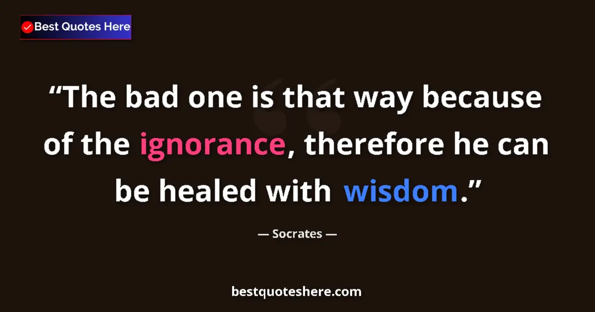 Quote by Socrates: The bad one is that way because of the ignorance, therefore he can be healed with wisdom....